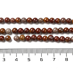Perle di diaspro naturale fili&nbsp;G-H298-A05-01