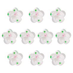 Perle di lampwork fatte a mano da 10 pz&nbsp;LAMP-TADJ0001-01B