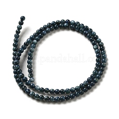 Naturali di acqua dolce perline shell fili&nbsp;SHEL-H003-03C
