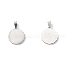 Acciaio inossidabile 304 con pendenti in conchiglia di paua&nbsp;STAS-G268-02A-P