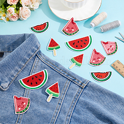 20 шт. 4 стиля арбуз нейлон компьютерная вышивка ткань термоприклеиваемые/пришивные нашивки&nbsp;DIY-HY0002-87