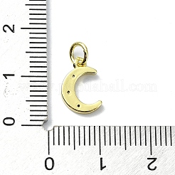 Подвески из латуни с микро-паве на тему луны&nbsp;KK-H475-57G-08