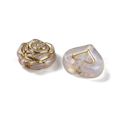 Perles en acrylique transparente&nbsp;MACR-L005-05L