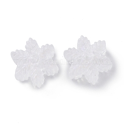 Прозрачные акриловые бусины&nbsp;OACR-P007-30