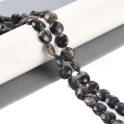 Бусины из натурального глаукофана&nbsp;G-C141-E01-02