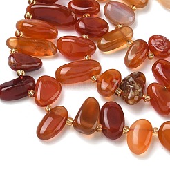 Натуральный красный агат бисер нитей&nbsp;G-P604-A14-01