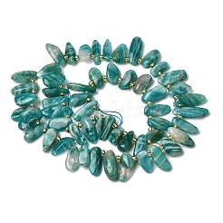 Природных амазонит бисер нитей&nbsp;G-P604-A24-01