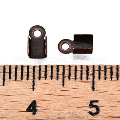 Железом мозг конец&nbsp;IFIN-T021-01R