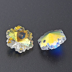 Breloques en verre électrolytique&nbsp;EGLA-N006-015D