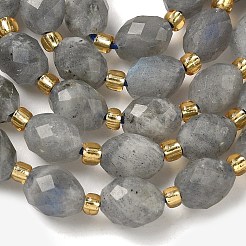 Природные лабрадорита бисер нитей&nbsp;G-F809-A47-01