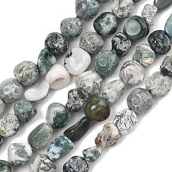 Натурального дерева агат бисер нитей&nbsp;G-D362-A01