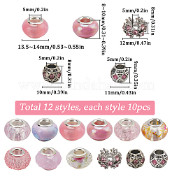 120шт 12 стиля смолы европейские бусины&nbsp;FIND-SC0010-24A