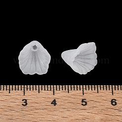 Embouts de perles acryliques dépolis&nbsp;AC-CBA81FF-01A