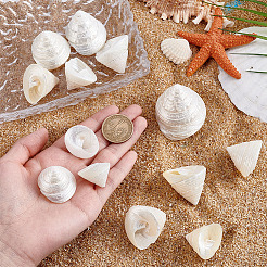 100 г украшения из натуральной ракушки&nbsp;SSHEL-PH0001-40A