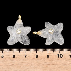 Naturquarz Kristall Anhänger&nbsp;X-G-H353-01G-02
