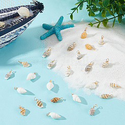 100 шт. подвески из натуральной ракушки&nbsp;PALLOY-HY00048