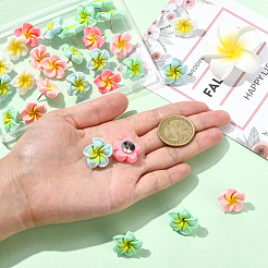 30 шт. булавки-кабошоны из смолы плюмерия&nbsp;AJEW-SC0031-18