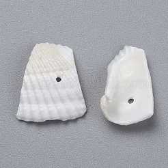 Shell perle naturali&nbsp;SHEL-K005-04
