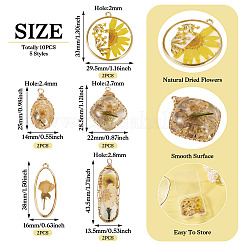 10шт 5 стиля подвески из эпоксидной смолы&nbsp;FIND-TA0008-97