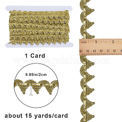 13.6~15 ярд филигранной кружевной ленты из полиэстера&nbsp;DIY-GF0007-67A