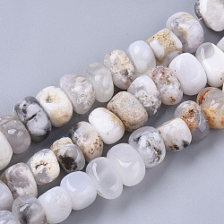 Chapelets de perles en agate blanche naturelle, pierre roulée, pépites, 8~10x12~12x10~12mm, Trou: 1.2mm, Environ 42~46 pcs/chapelet, 15.35~16.14 pouce (39~41 cm)
