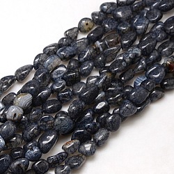 Pepite fili di perline di agata crepitio naturale, tinti e riscaldato, nero, 8~16x8~12x6~10mm, Foro: 1 mm, circa 30~40pcs/filo, 15~16 pollice