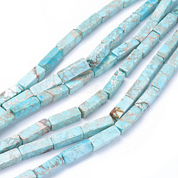Natural Imperial Jasper Beads Strands, Cuboid, Dyed, Turquoise, 13~13.5x4.2~4.5x4.2~4.5mm, Hole: 1.2mm, about 30pcs/strand, 15.5 inch~16.1 inch(39.5~41cm)