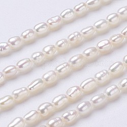Fili di perle di perle d'acqua dolce coltivate naturali, riso, bianco floreale, 3.5~4x2.5~3mm, Foro: 0.2 mm, circa 95~100pcs/filo, 15.1 pollice