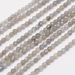Facetas hebras de perlas redondas labradorita natural, 3mm, agujero: 1 mm, aproximamente 124 pcs / cadena, 15.5 pulgada