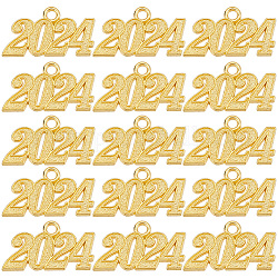 Sunnyclue 50 Stück Legierungsanhänger, Zahl 2024, golden, 18~19x32~33x2 mm, Bohrung: 3 mm