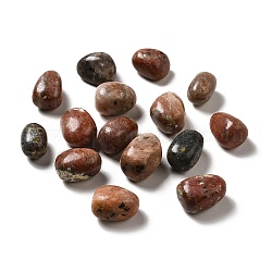 Perles de jaspe de sésame naturel, pierre roulée, gemmes de remplissage de vase, pas de trous / non percés, pépites, 17~30x15~27x8~22mm