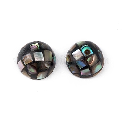 Synthetic Abalone Shell/Paua Shell Beads, Half Round, Colorful, 8x3.5mm