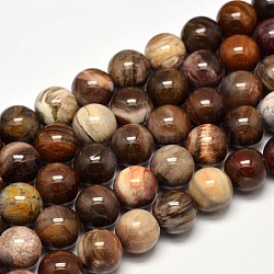 Natürliche versteinertes Holz runden Perle Stränge, 12 mm, Bohrung: 1 mm, ca. 31 Stk. / Strang, 15 Zoll