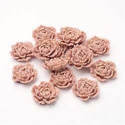 Resin Cabochons, Flower, Rosy Brown, 24x8mm
