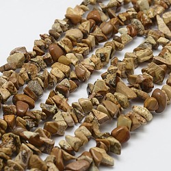 Chapelets de perles en jaspe avec images naturelles, puce, burlywood, 3~5x7~13x2~4mm, Trou: 0.4mm, 31.5 pouce