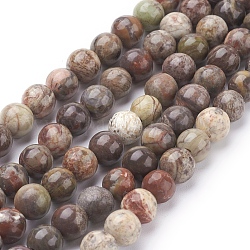 Granos de piedras preciosas naturales hebras, jaspe del océano, teñido, redondo, marrón, 6mm, agujero: 1 mm, 15.7 pulgada, aproximamente 60 pcs / cadena