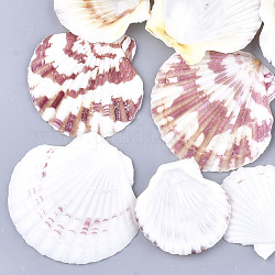 Natural Scallop Shell Beads, Sea Shell Beads, Undrilled/No Hole Beads, Seashell Color, 36~51x37~54x3~7mm