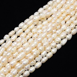 Natural Cultured Freshwater Pearl Beads Strands, with Screw Thread, Rice, Creamy White, 7~8mm, Hole: 0.8mm, about 38pcs/strand, 13.77 inch~14.17 inch