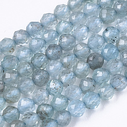 Chapelets de perles en apatite naturelle, ronde, facette, 2mm, Trou: 0.7mm, Environ 155 pcs/chapelet, 15.75 pouce (40 cm)