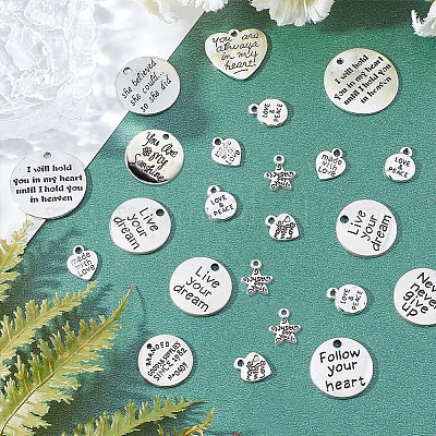 72 шт. 12 стиля подвески из сплава в тибетском стиле&nbsp;PALLOY-SC0003-31AS-1