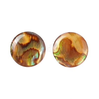Cabochons de concha paua&nbsp;SSHEL-C008-08-1