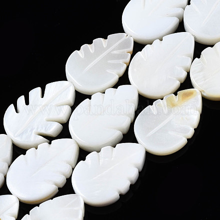 Eau douce naturelle de coquillage perles brins SHEL-Q024-004-1