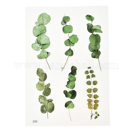 Adesivi autoadesivi in plastica impermeabile&nbsp;DIY-F064-13C-1