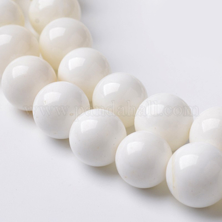 Coquille naturelle brins de perles rondes BSHE-O016-C-03-1