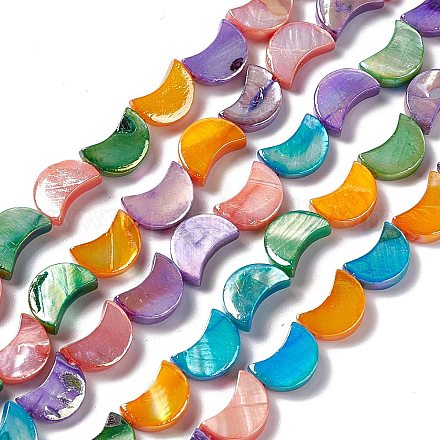 Eau douce naturelle de coquillage perles brins SHEL-F003-04-1