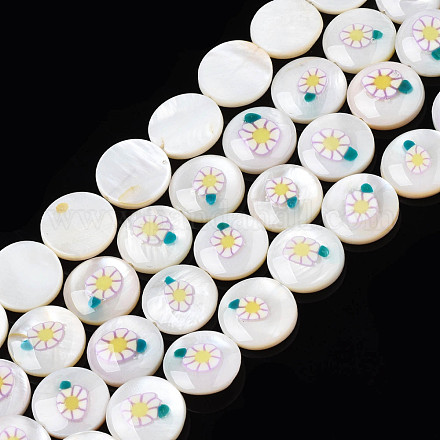 Natürliche Emaille-Perlen aus Süßwassermuscheln SHEL-N026-194-05-1