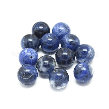Natural Sodalite Beads X-G-F222-39A-14mm-1