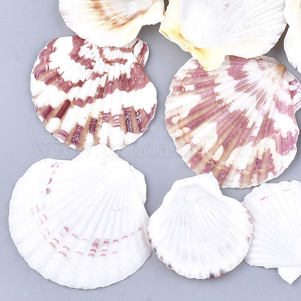 Natural Scallop Shell Beads SSHEL-S258-53-1