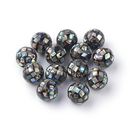 Natural Paua Shell Beads X-SSHEL-Q298-10mm-09-1
