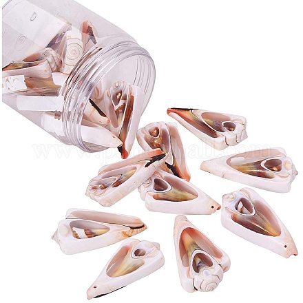 PandaHall Elite about 170g Triangle Carved Shells Ocean Beach Spiral Seashells Big Craft Charms for DIY Craft Jewelry Making Home Decoration Fish Tank and Vase Filler SSHEL-PH0002-26-1